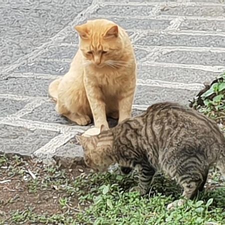 Alle Pendici Dell'Etna Ragalna ภายนอก รูปภาพ