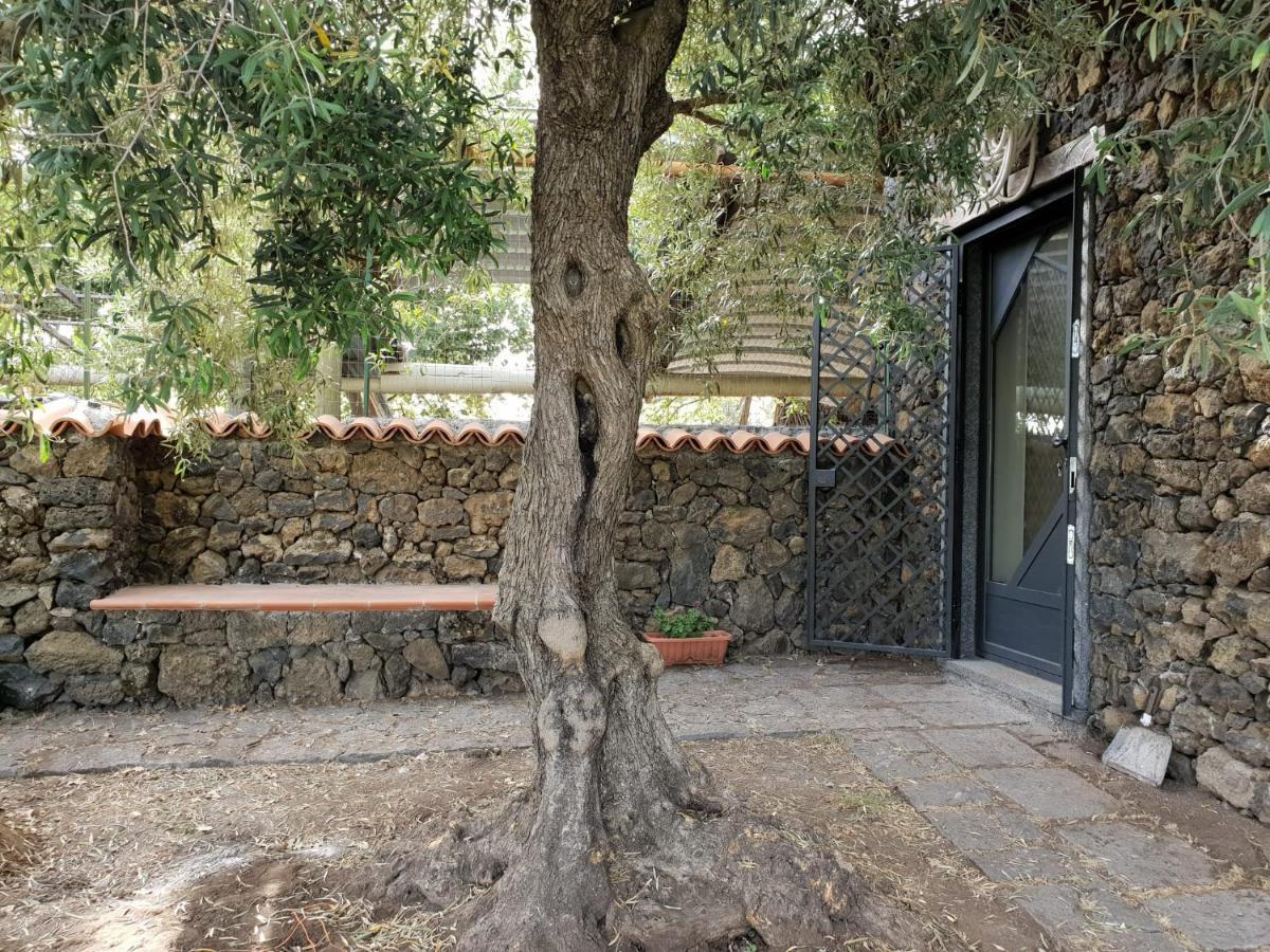 Alle Pendici Dell'Etna Ragalna ภายนอก รูปภาพ